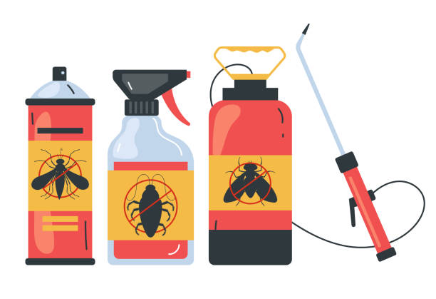 Best Termite Control Services  in Allyn, WA