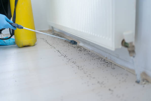 Best Wildlife Control Services  in Allyn, WA