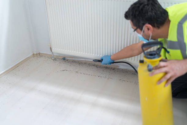 Best Best Pest Control Companies  in Allyn, WA