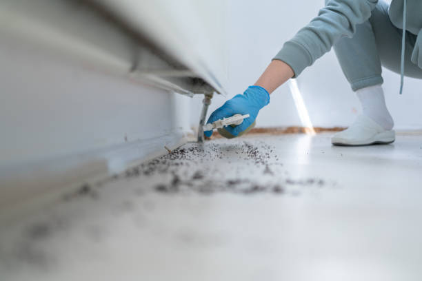 Best Pest Inspection Near Me  in Allyn, WA